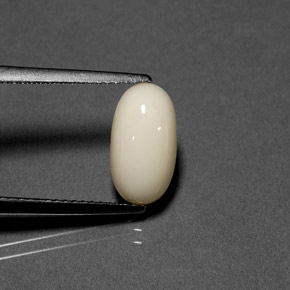 2.23 ct White Coral Gemstone, Coral Gem in Oval Cabochon Shape for Sale.