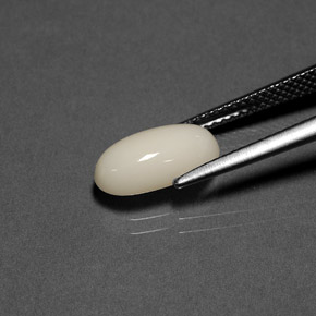 Coral Gemstone in 11.7 x 6.3 mm Size for Sale, Coral Stone in White Color