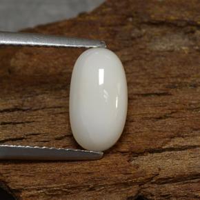 Light Grayish White Коралл Камень - 2.3ct Овал Кабошон (ID: 260139)