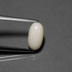 1.84 ct White Coral Gemstone, Coral Gem in Oval Cabochon Shape for Sale.