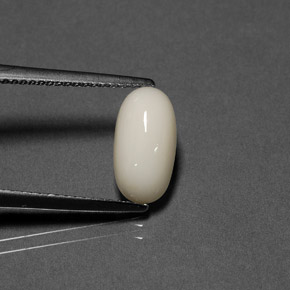 2.02 ct White Coral Gemstone, Coral Gem in Oval Cabochon Shape for Sale.