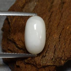 薄いグレーがかったホワイト サンゴ 宝石 - 2.4ct オーバル カボション (ID: 260143)