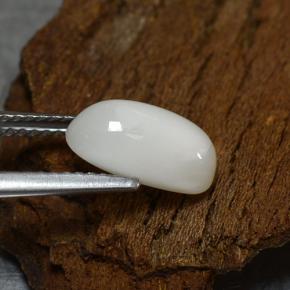 Coral Gemstone in 11 x 6.1 mm Size for Sale, Coral Stone in Light Grayish White Color