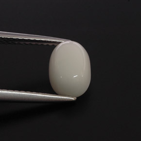 2.00 ct White Coral Stone, Natural Coral in Oval Cabochon Shape for Sale