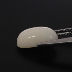 Coral Gemstone in 11.7 x 6.4 mm Size for Sale, Coral Stone in White Color