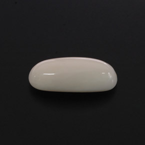 2.28 ct White Coral Gemstone, Coral Gem in Oval Cabochon Shape for Sale.