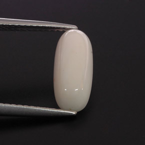 2.28 ct White Coral Stone, Natural Coral in Oval Cabochon Shape for Sale