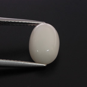2.68 ct White Coral Stone, Natural Coral in Oval Cabochon Shape for Sale