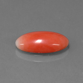 1.69 ct Pink Coral Gemstone, Coral Gem in Oval Cabochon Shape for Sale.