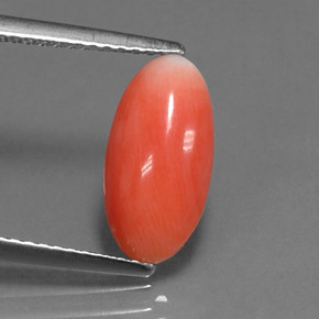 1.69 ct Pink Coral Stone, Natural Coral in Oval Cabochon Shape for Sale