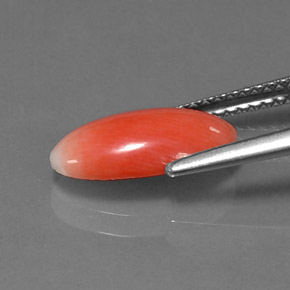 Coral Gemstone in 12.8 x 6.6 mm Size for Sale, Coral Stone in Salmon Color