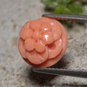 Coral Gemstone in 10.5 x 6.5 mm Size for Sale, Coral Stone in Salmon Color