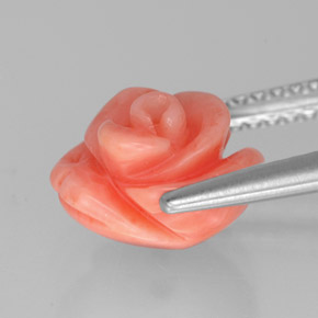 Coral Gemstone in 9 x 8.5 mm Size for Sale, Coral Stone in Salmon Color