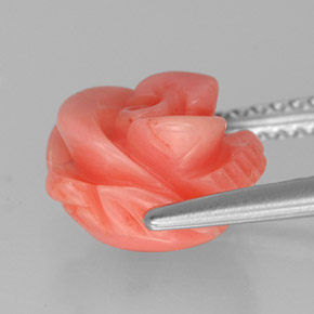 Coral Gemstone in 9.4 x 8.7 mm Size for Sale, Coral Stone in Salmon Color
