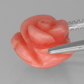 Coral Gemstone in 10.3 x 9.7 mm Size for Sale, Coral Stone in Salmon Color