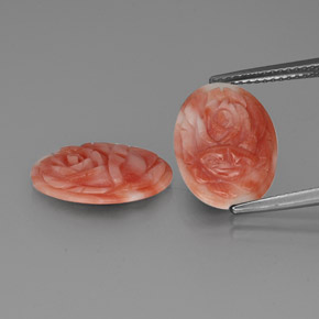 2.6ct Carved Rose Bi-Color Coral Gem for sale 2.6ct Carved Rose Bi-Color Coral Gem (ID: 329415)