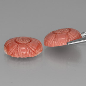 Coral Gemstones in 13.8 x 9.8 mm Size for Sale, Coral Stones in Salmon Color