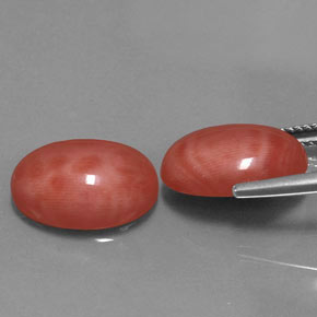 Coral Gemstone in 14 x 10 mm (calibrated) Size for Sale, Coral Stone in Salmon Color
