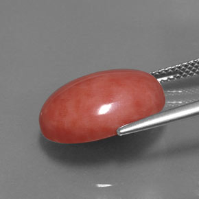 Coral Gemstone in 16 x 12 mm (calibrated) Size for Sale, Coral Stone in Salmon Color