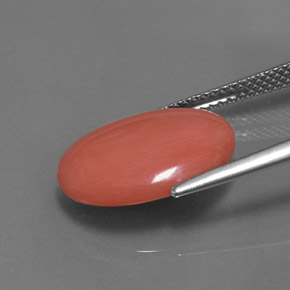 Coral Gemstone in 16 x 12 mm (calibrated) Size for Sale, Coral Stone in Salmon Color