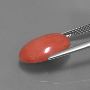 Coral Gemstone in 14.9 x 11 mm Size for Sale, Coral Stone in Salmon Color