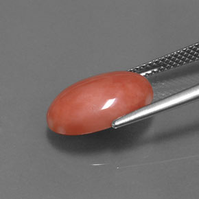Coral Gemstone in 14 x 10 mm (calibrated) Size for Sale, Coral Stone in Salmon Color