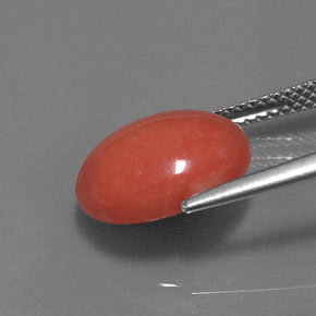 Coral Gemstone in 12.8 x 10.8 mm Size for Sale, Coral Stone in Salmon Color