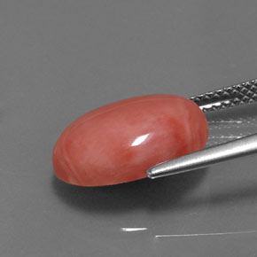 Coral Gemstone in 14 x 10 mm (calibrated) Size for Sale, Coral Stone in Salmon Color