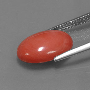 Coral Gemstone in 13 x 9 mm Size for Sale, Coral Stone in Salmon Color