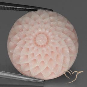 24.56 ct Pink Coral, 19.5 x 19.3 mm Carved From Taiwan, Photo A