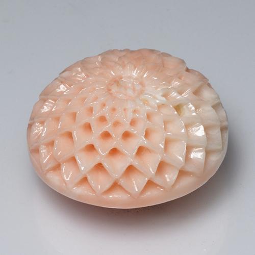 Coral Gemstone in 21.7 x 21.4 mm Size for Sale, Coral Stone in Medium Pink Color