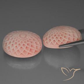 Coral Gemstones in 23.5 x 19.3 mm Size for Sale, Coral Stones in Medium-Light Pink Color