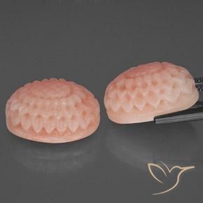 Coral Gemstones in 15.3 x 11.1 mm Size for Sale, Coral Stones in Medium Pink Color