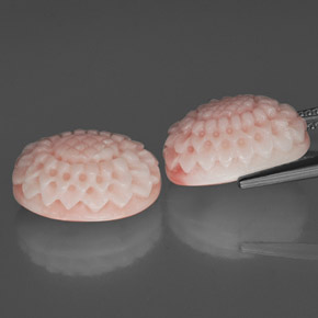 Coral Gemstone in 15.3 x 11.1 mm Size for Sale, Coral Stone in Pink Color