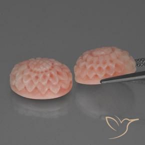 Coral Gemstones in 15.3 x 11.1 mm Size for Sale, Coral Stones in Flamingo Pink Color