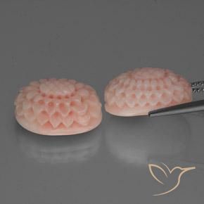 Best Carved Pink Corals for a pair of Earrings