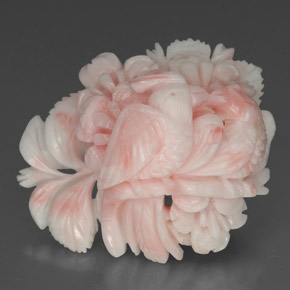 35.8ct Bird Carving Cream Coral for sale thumb image of 35.8ct Bird Carving Cream Coral (ID: 333656)
