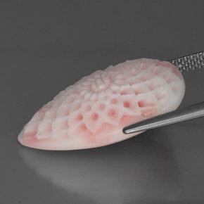 Coral Gemstone in 23.1 x 13.7 mm Size for Sale, Coral Stone in Pink Color