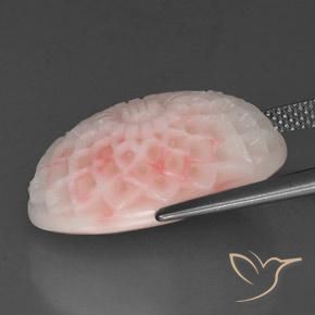 Coral Gemstone in 20.5 x 13.4 mm Size for Sale, Coral Stone in Flamingo Pink Color