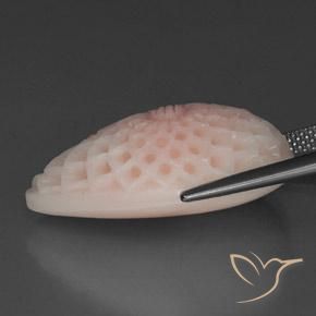 Coral Gemstone in 25.3 x 14.6 mm Size for Sale, Coral Stone in Light Pink Color
