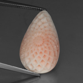 19.21 ct White Coral Gemstone, Coral Gem in Flower Carving Shape for Sale.