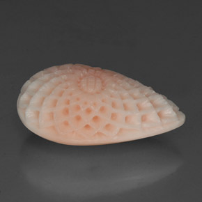 19.21 ct White Coral Stone, Natural Coral in Flower Carving Shape for Sale