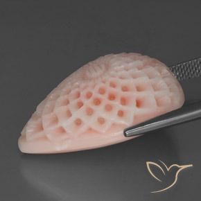 Coral Gemstone in 25.3 x 18.2 mm Size for Sale, Coral Stone in Blush Pink Color