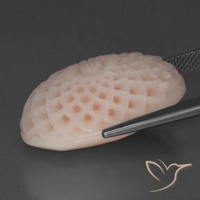 Coral Gemstone in 25 x 16.7 mm Size for Sale, Coral Stone in Salmon Pink Color