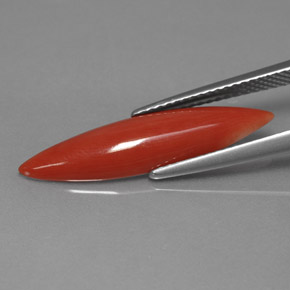 Coral Gemstone in 24.4 x 6.1 mm Size for Sale, Coral Stone in White Salmon Color