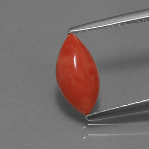 1.23 ct Pink Coral Gemstone, Coral Gem in Marquise Cabochon Shape for Sale.