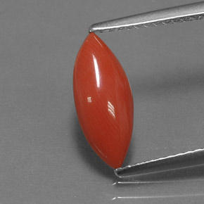 1.18 ct Pink Coral Gemstone, Coral Gem in Marquise Cabochon Shape for Sale.