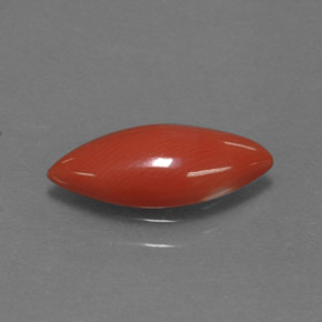 1.18 ct Pink Coral Stone, Natural Coral in Marquise Cabochon Shape for Sale