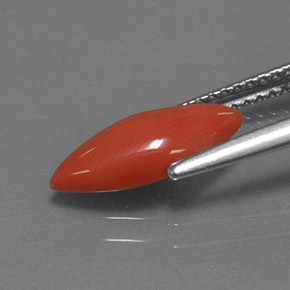 Coral Gemstone in 12.7 x 5.4 mm Size for Sale, Coral Stone in White Salmon Color