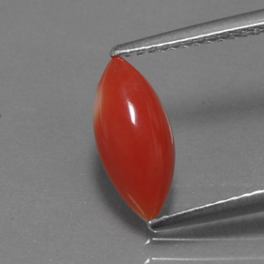 1.30 ct Pink Coral Gemstone, Coral Gem in Marquise Cabochon Shape for Sale.